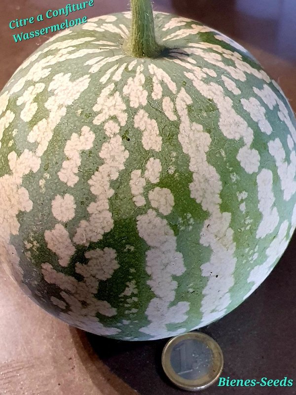 Citre a Confiture Wassermelone